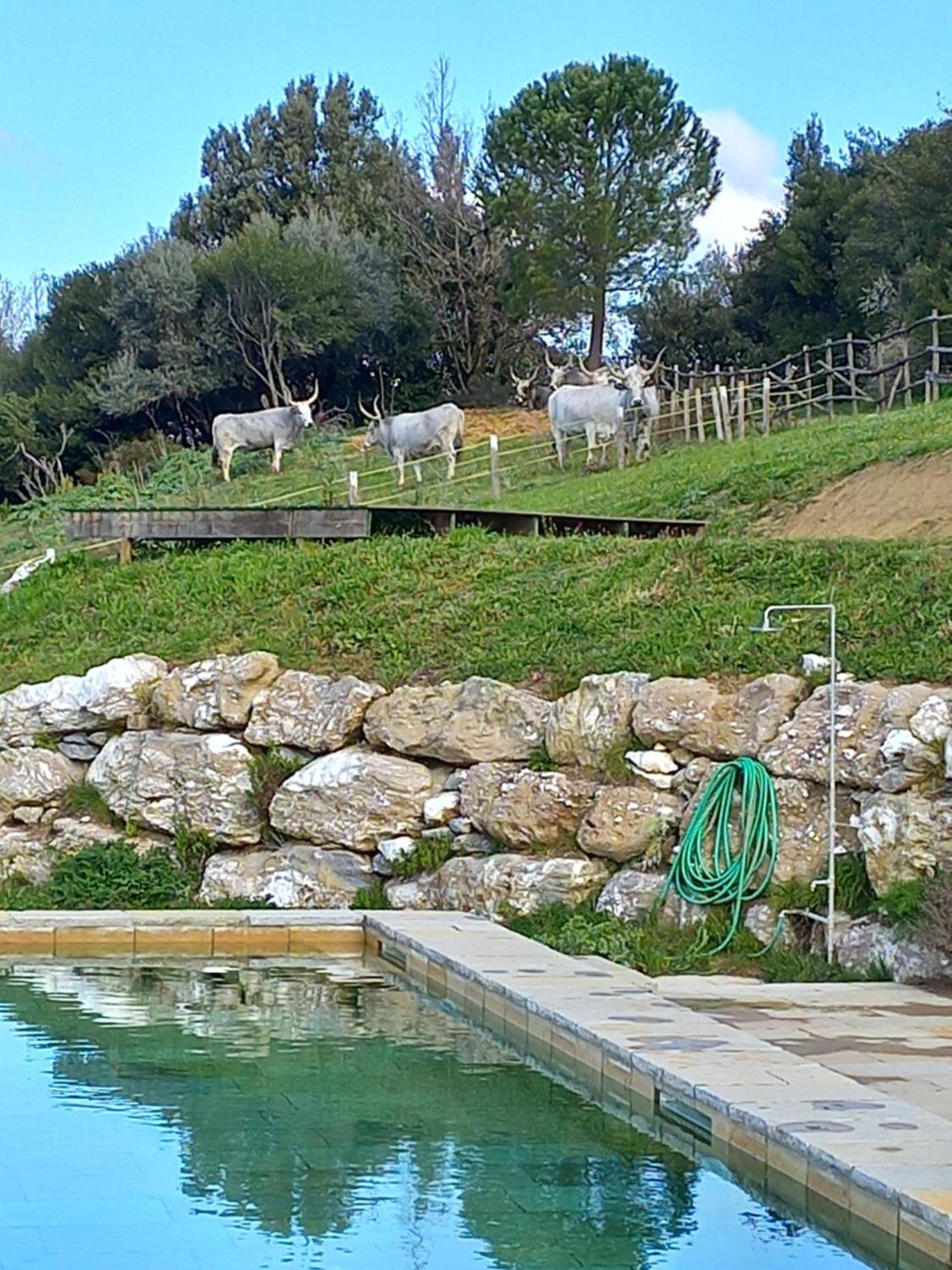 Case Di Gello Montecatini Val di Cecina Extérieur photo